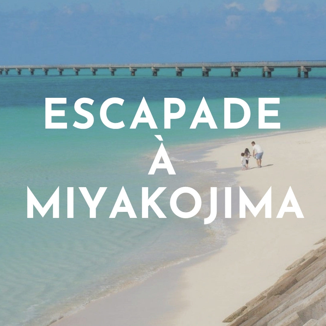 JAPAN WITH FAMILY - 13 NIGHTS in 4*