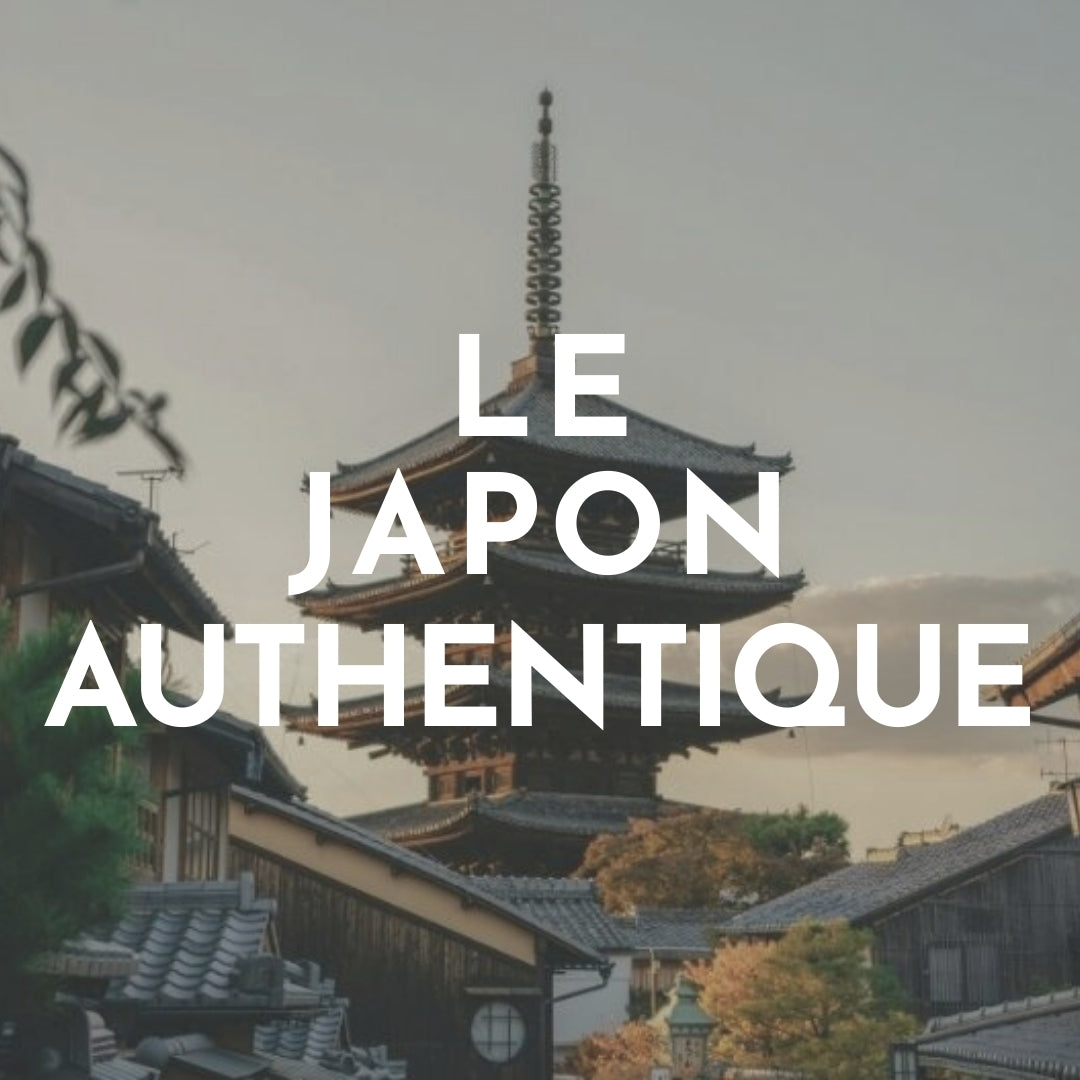 JAPAN WITH FAMILY - 13 NIGHTS in 4*
