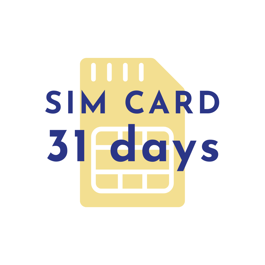 Carte SIM / 31 jours