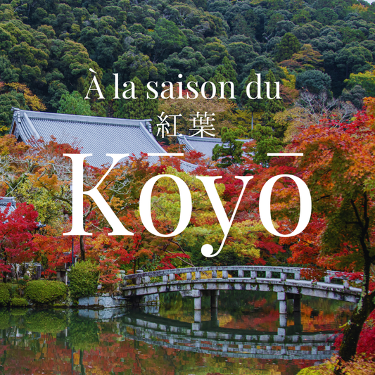 Découvrir les couleurs d’automne au Japon : un voyage inoubliable