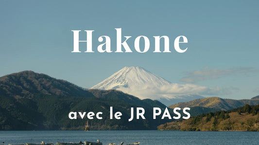 Hakone Free Pass + JR PASS : le combo parfait pour visiter Hakone depuis Tokyo