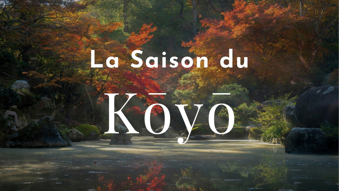 Découvrir les couleurs d’automne au Japon : un voyage inoubliable
