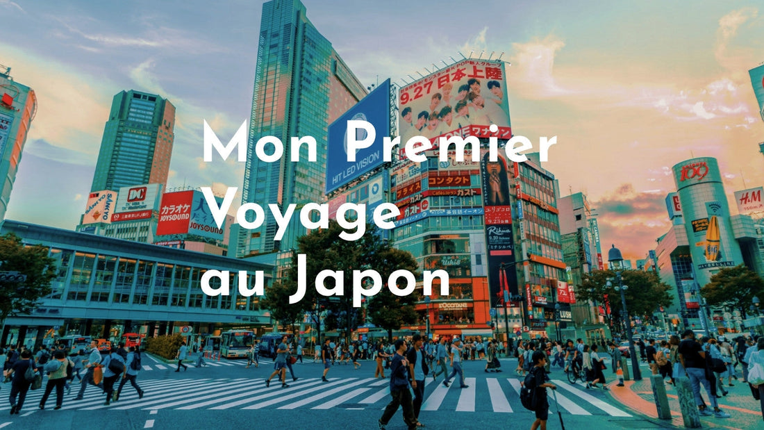 Premiers pas au Japon : les points à retenir pour un voyage réussi