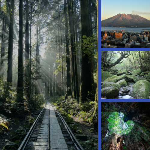 YAKUSHIMA - 5 NUITS
