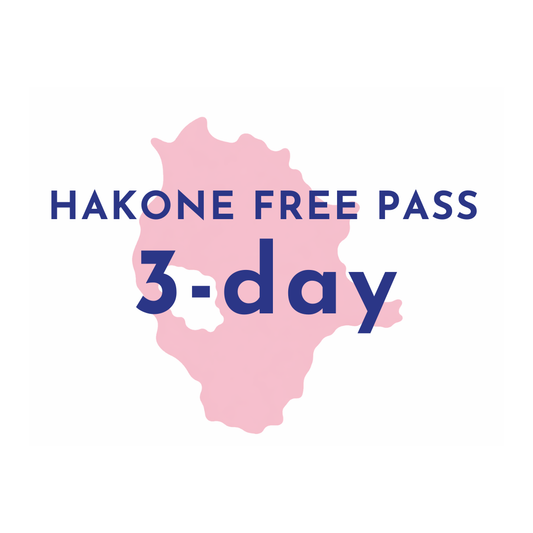 Hakone Free Pass Voucher - 3 jours