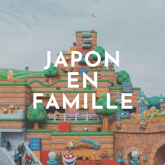 Japon en famille 13J/12N