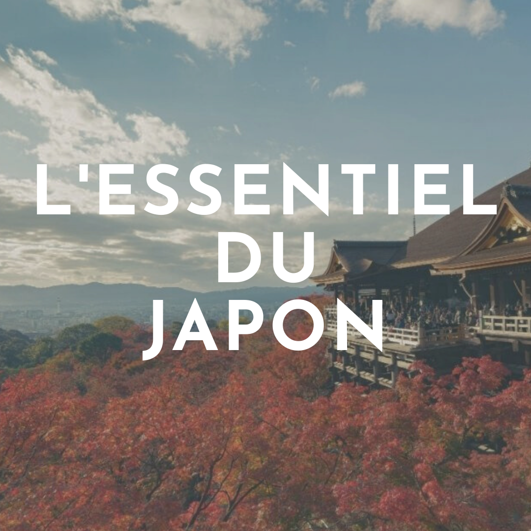 JAPAN WITH FAMILY - 13 NIGHTS in 4*